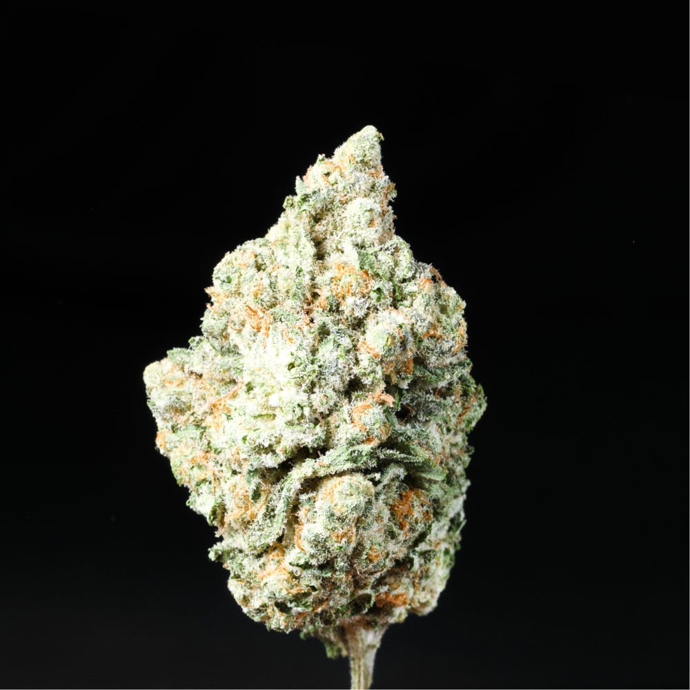 Peanut Butter Breath THCA Flower - Lost In Translation
