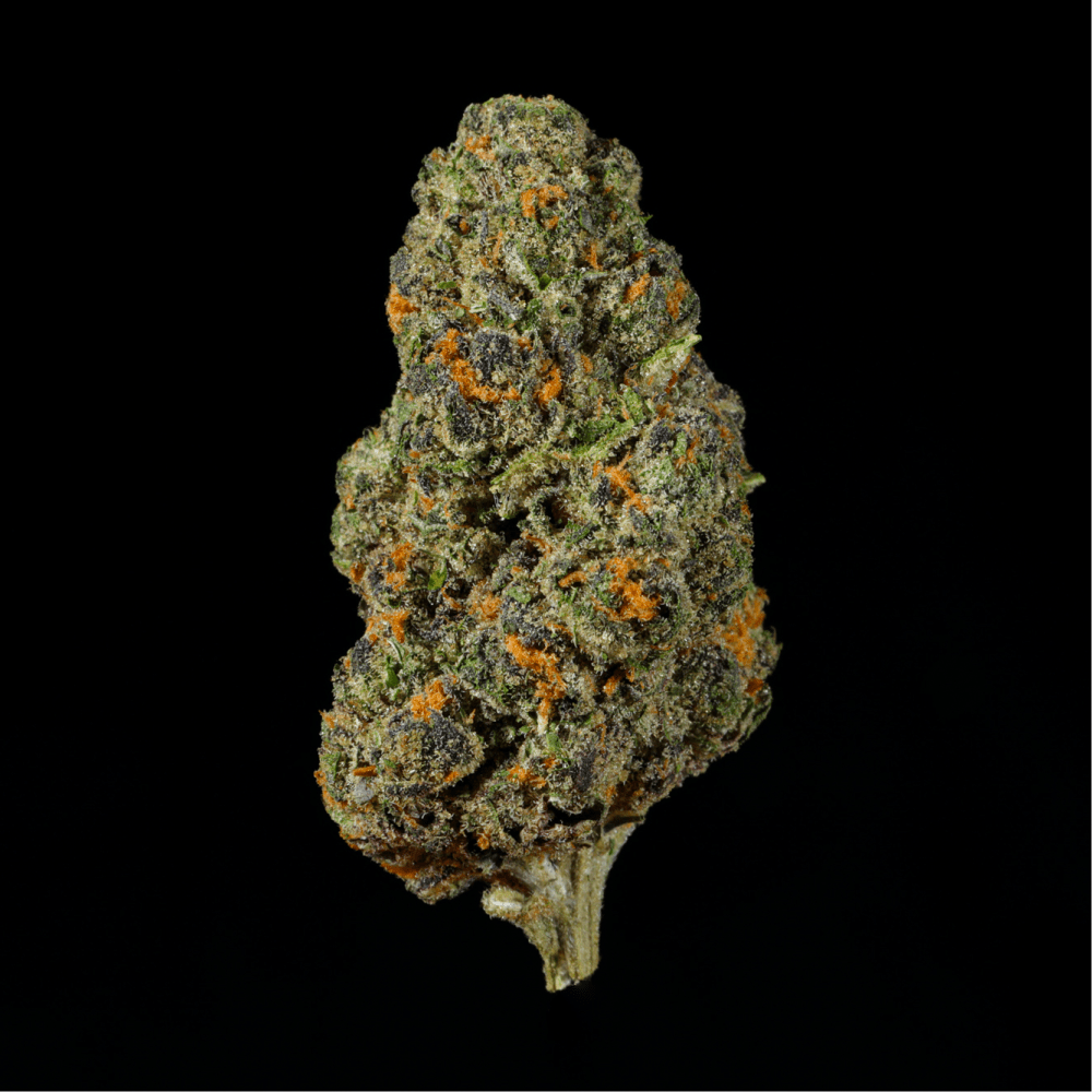 Permanent Marker THCA Flower - Lost In Translation