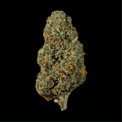 Permanent Marker THCA Flower - Lost In Translation