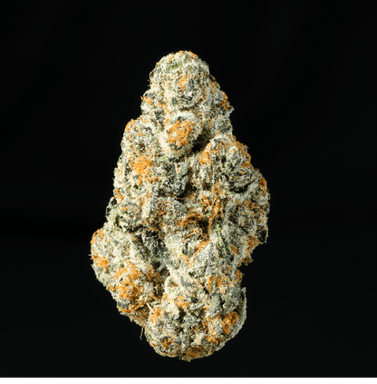 Permanent Marker THCA Flower - Lost In Translation