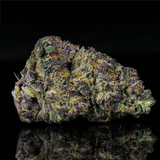 Petrol Pie THCA Flower - Lost In Translation