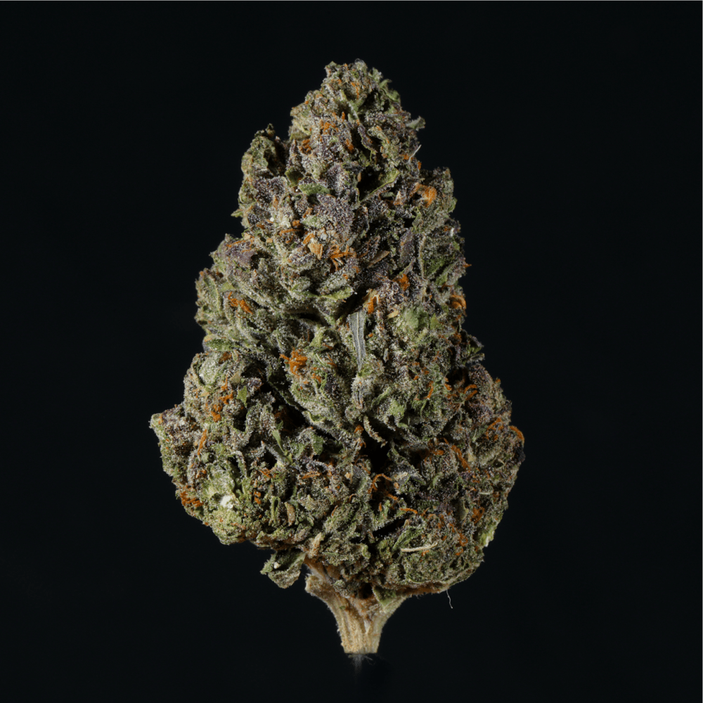Petrol Pie THCA Flower - Lost In Translation