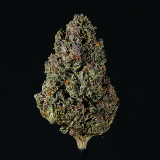 Petrol Pie THCA Flower