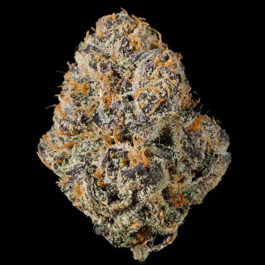 Phruntz THCA Flower - Lost In Translation