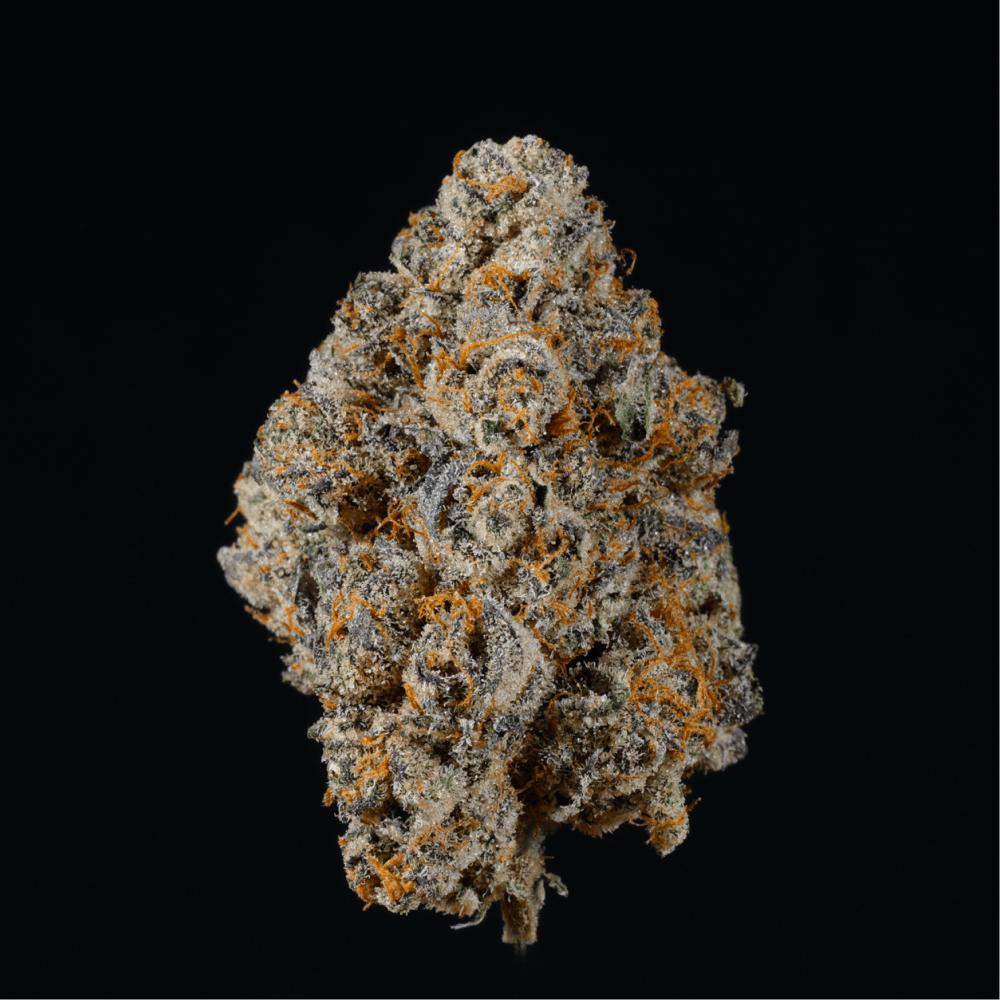 Pineapple Runtz THCA Flower - Lost In Translation