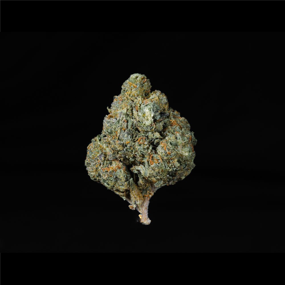 Pink Drink THCA Flower - Lost In Translation