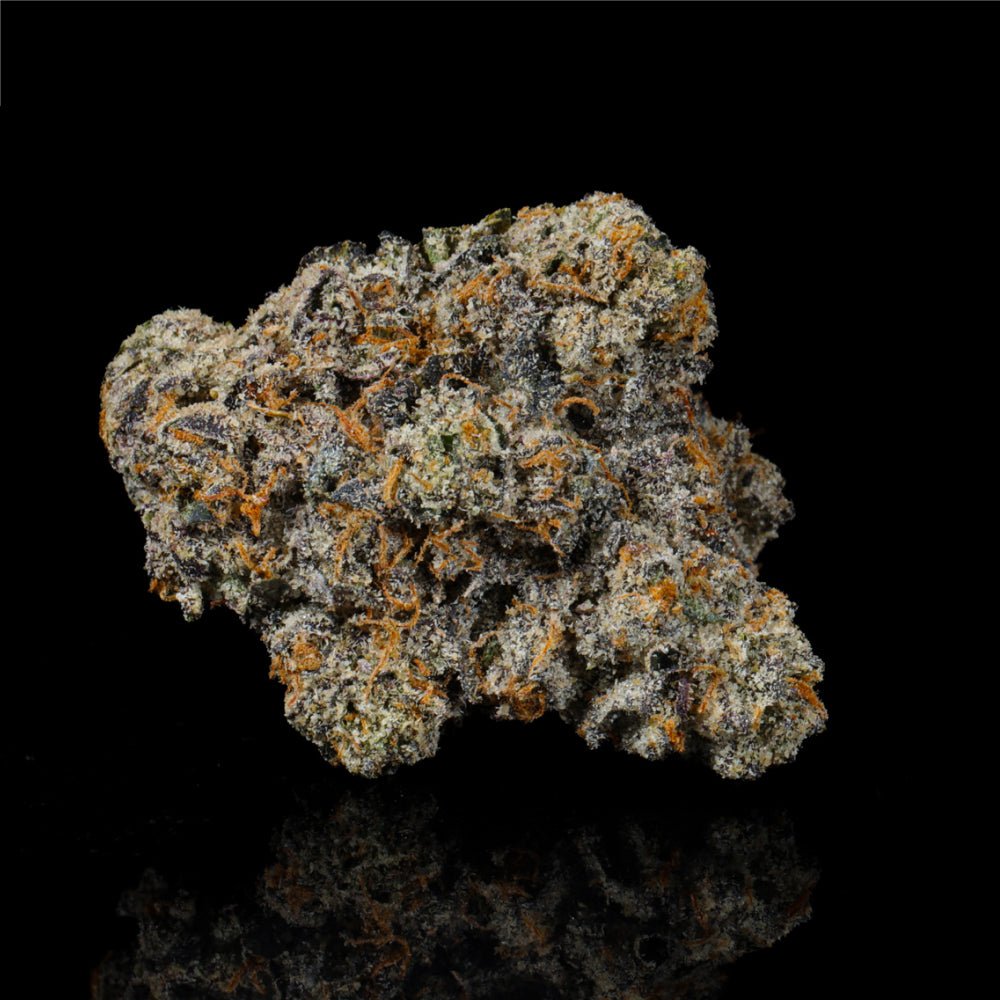 Pink Drink THCA Flower - Lost In Translation