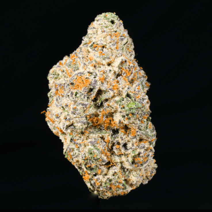 Pink Grapefruit THCA Flower - Lost In Translation