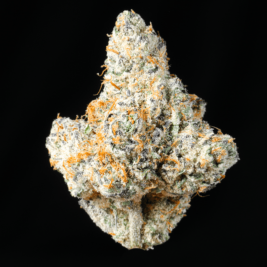 Pink Panties THCA Flower - Lost In Translation