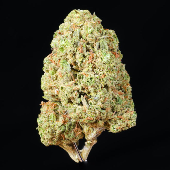 Pink Certz THCA Flower - Lost In Translation