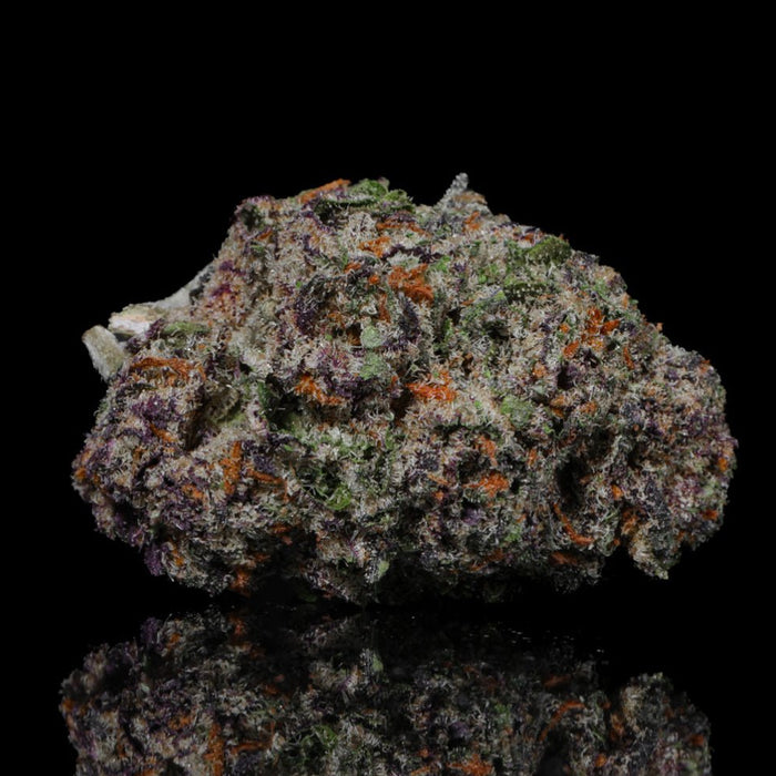 Pink Certz THCA Flower - Lost In Translation