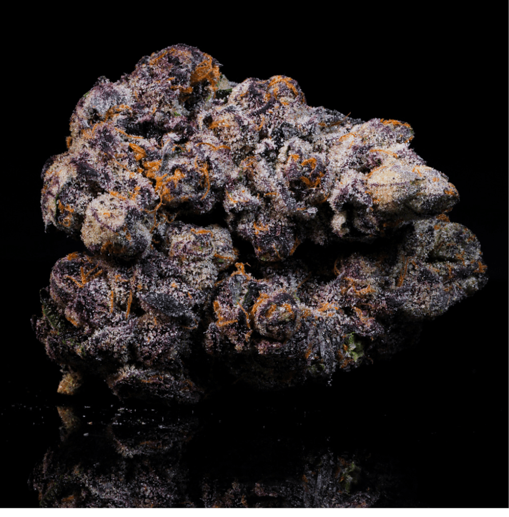 Pink Grapefruit THCA Flower - Lost In Translation