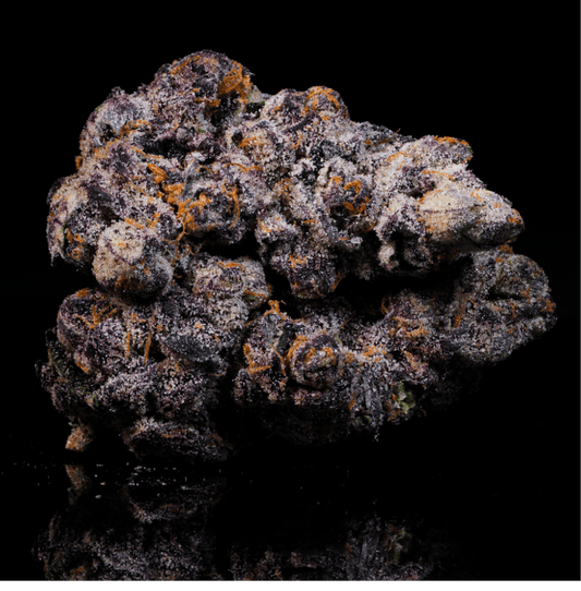 Pink Grapefruit THCA Flower - Lost In Translation
