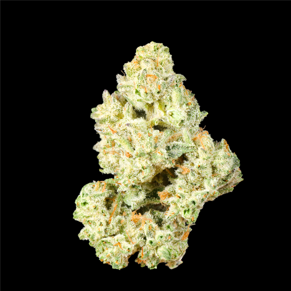 Pink Grapefruit THCA Flower - Lost In Translation