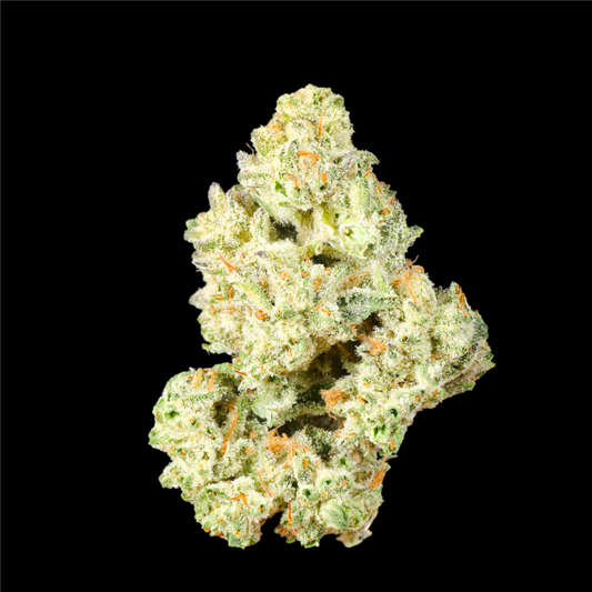 Pink Grapefruit THCA Flower - Lost In Translation