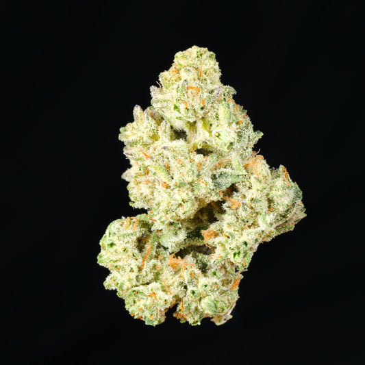 Pink Grapefruit THCA Flower - Lost In Translation