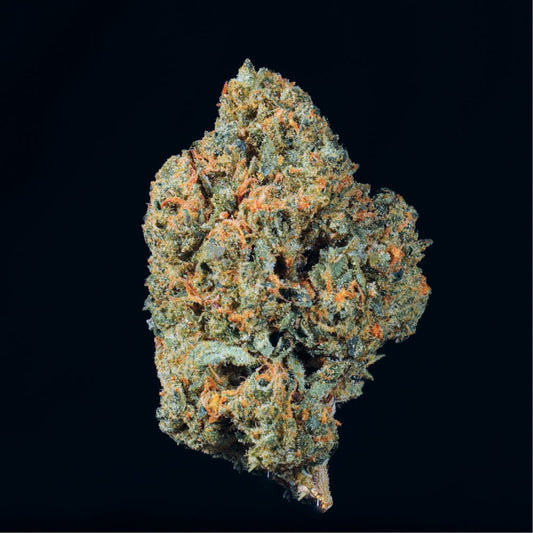 Pink Kitty THCA Flower - Lost In Translation