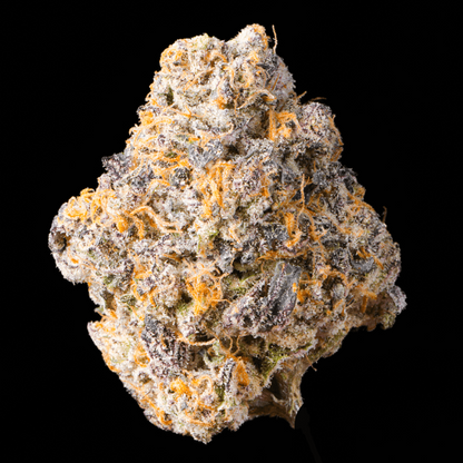 Pink Rosay THCA Flower - Lost In Translation