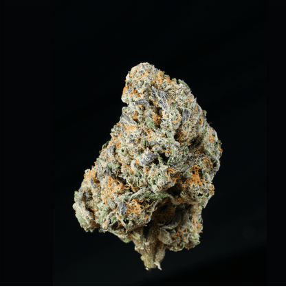 Pinnacle THCA Flower - Lost In Translation