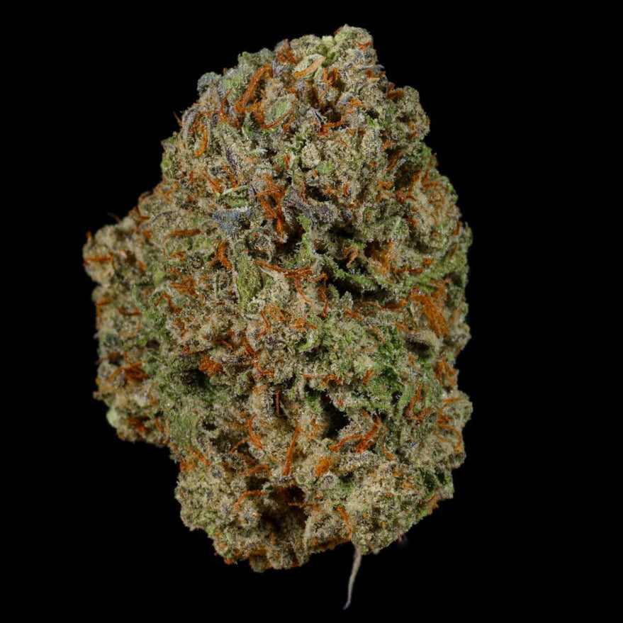 Pipe Dream THCA Flower - Lost In Translation