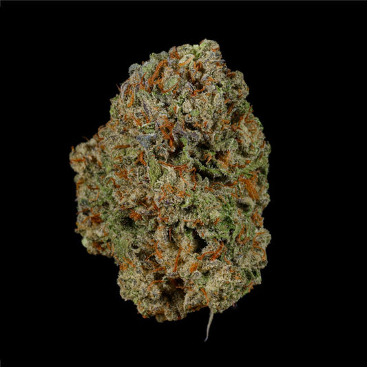 Pipe Dream THCA Flower - Lost In Translation