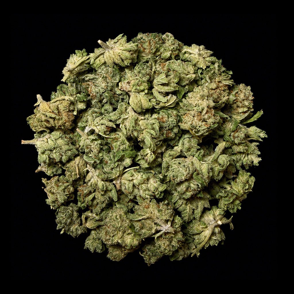 Pipe Dream THCA Flower - Lost In Translation