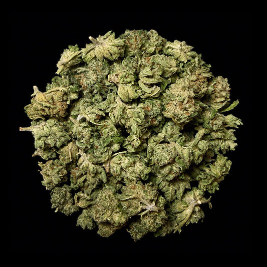 Pipe Dream THCA Flower