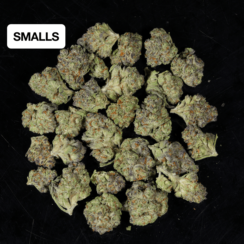 Platinum Cookies THCA Flower - Lost In Translation