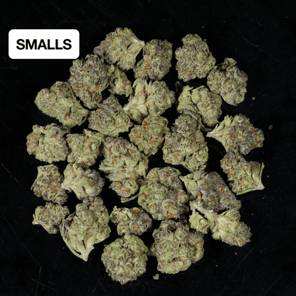 Platinum Cookies THCA Flower - Lost In Translation