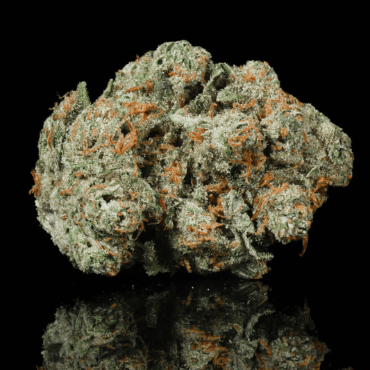 Platinum OG THCA Flower - Lost In Translation