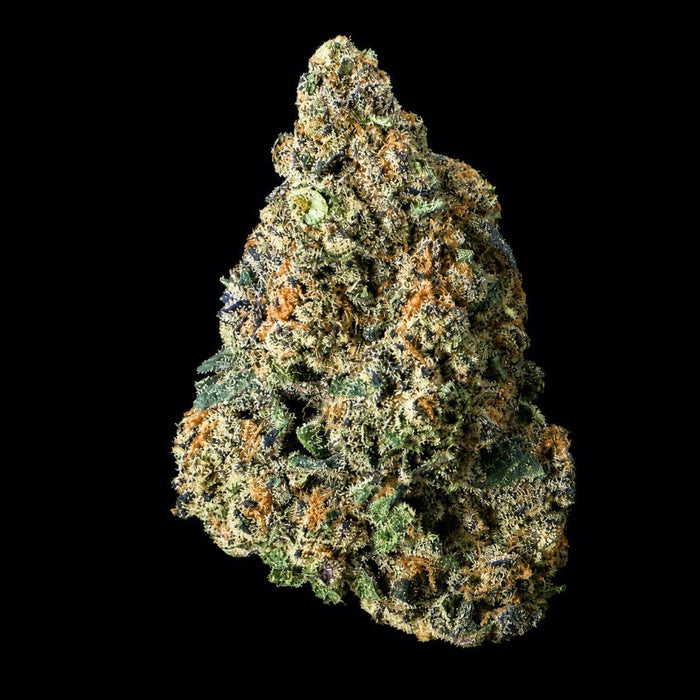 Pluto 85 THCA Flower - Lost In Translation