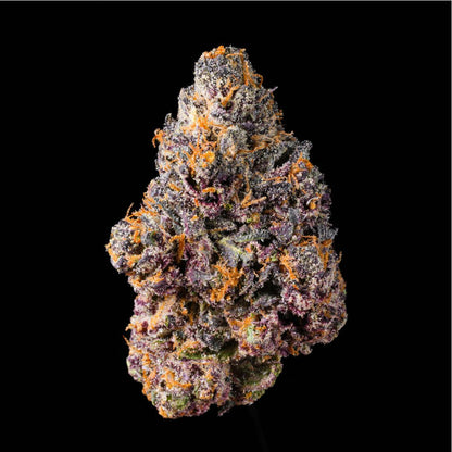 Poison Gushers THCA Flower - Lost In Translation