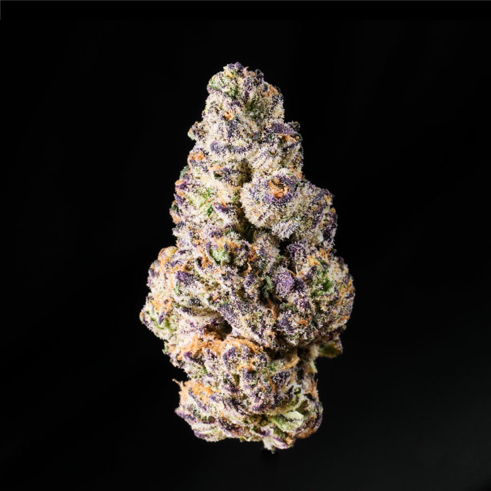 Purple Punch THCA Flower - Lost In Translation