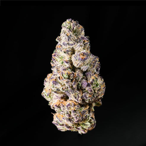 Purple Punch THCA Flower