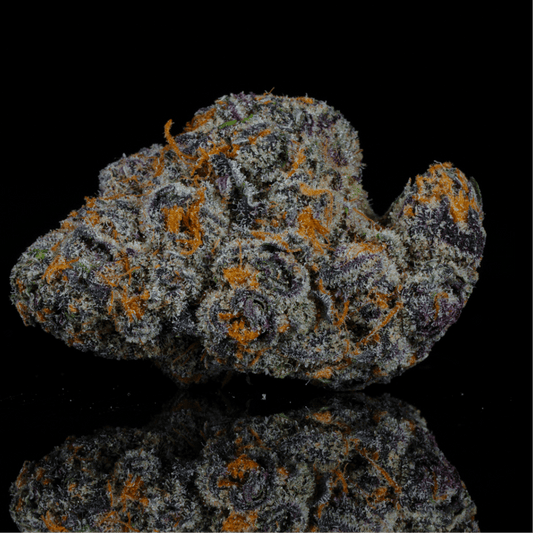Purple Haze THCA Flower - Lost In Translation