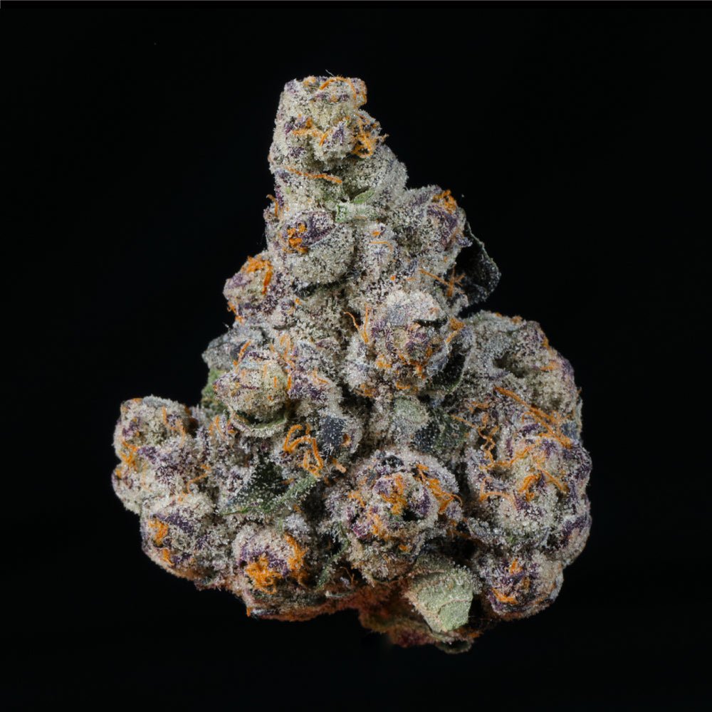 Purple Kush THCA Flower - Lost In Translation