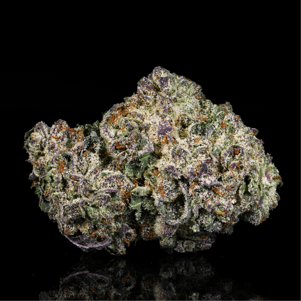 Purple Push Pop THCA Flower (Hybrid) | Lit Farms – Lost In Translation