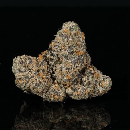 Purple Runtz THCA Flower - Lost In Translation