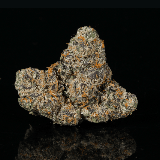 Purple Runtz THCA Flower - Lost In Translation