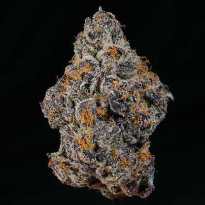 Purple Za THCA Flower - Lost In Translation