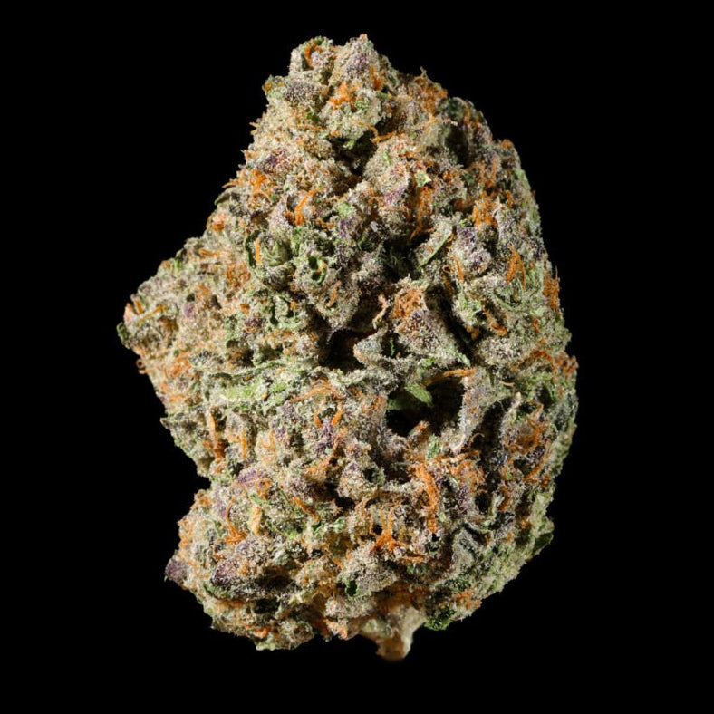 Purple Za THCA Flower - Lost In Translation