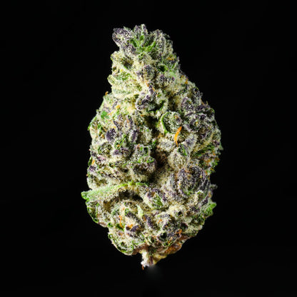 Purple Candy THCA Flower - Lost In Translation