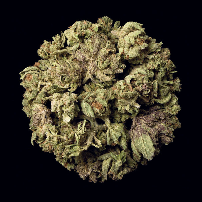 Purple Diamonds THCA Flower