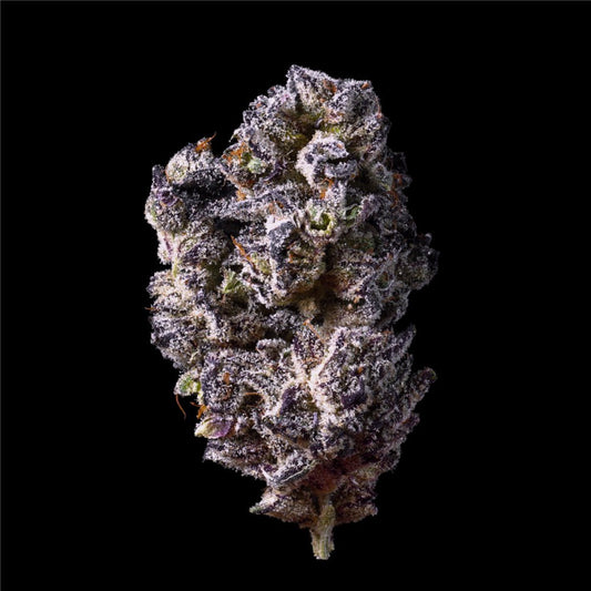Purple Octane THCA Flower - Lost In Translation