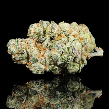 Purple Sunrise THCA Flower - Lost In Translation