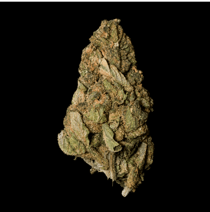 Rainbow Runtz THCA Flower - Lost In Translation