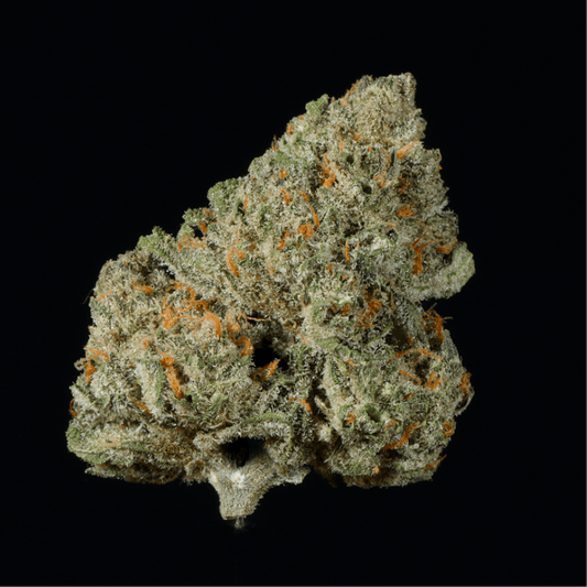 Rainbow Belts THCA Flower - Lost In Translation