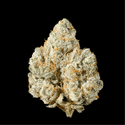Rainbow OG THCA Flower - Lost In Translation