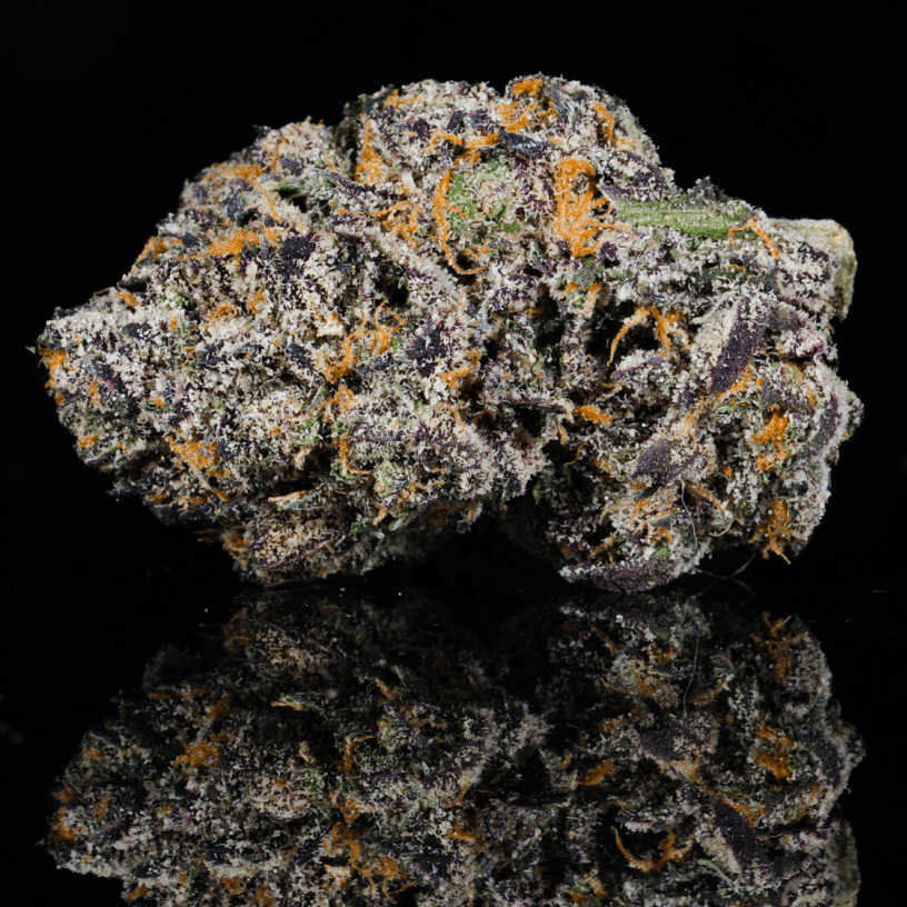 Rainbow Marker THCA Flower - Lost In Translation