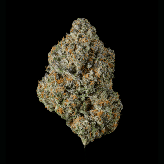 Rainbow Sherbert THCA Flower - Lost In Translation